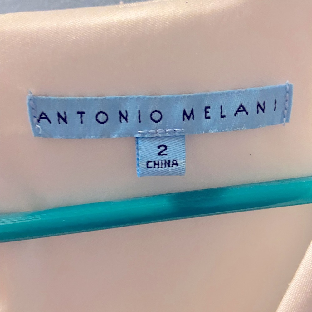 Antonio Melani Interview Dress